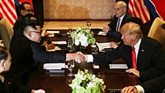 Donald Trump shakes hands with North Korea's leader