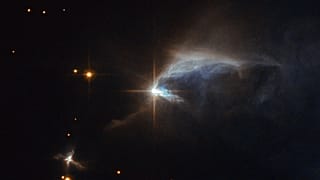 https://www.nasa.gov/image-feature/goddard/2016/hubbles-diamond-in-the-dust