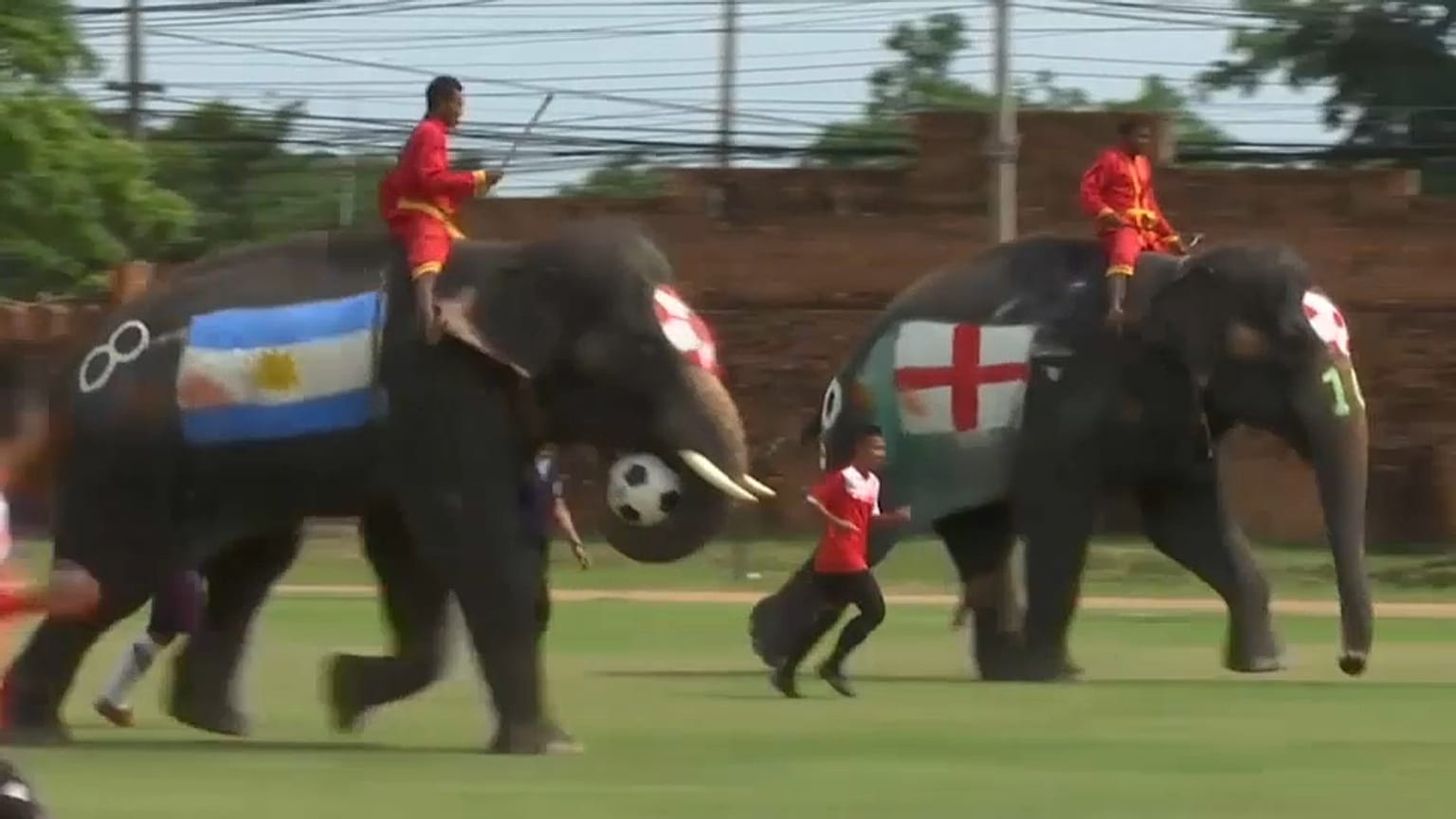 "La mano de Dios" de Maradona en versión elefante