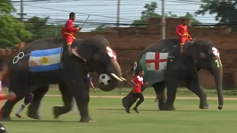 "La mano de Dios" de Maradona en versión elefante