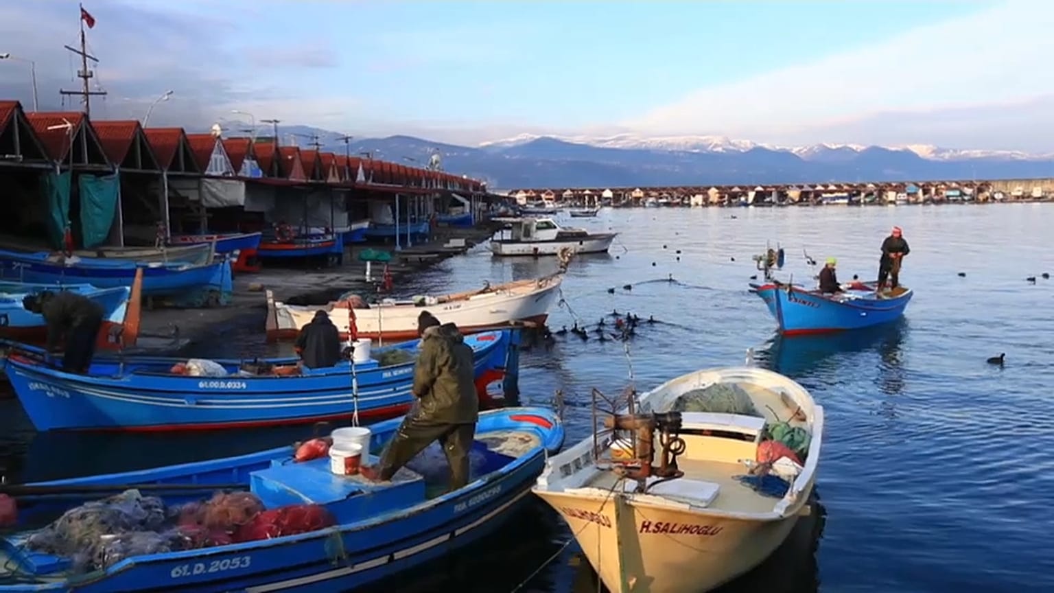 'Trabzon hamsisi farklı bir ırk, tescil bekliyoruz'