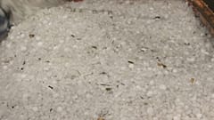 Symbolbild