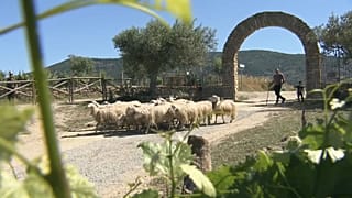 Il 2018 è l'anno del cibo italiano: dalla Sardegna i sapori bio
