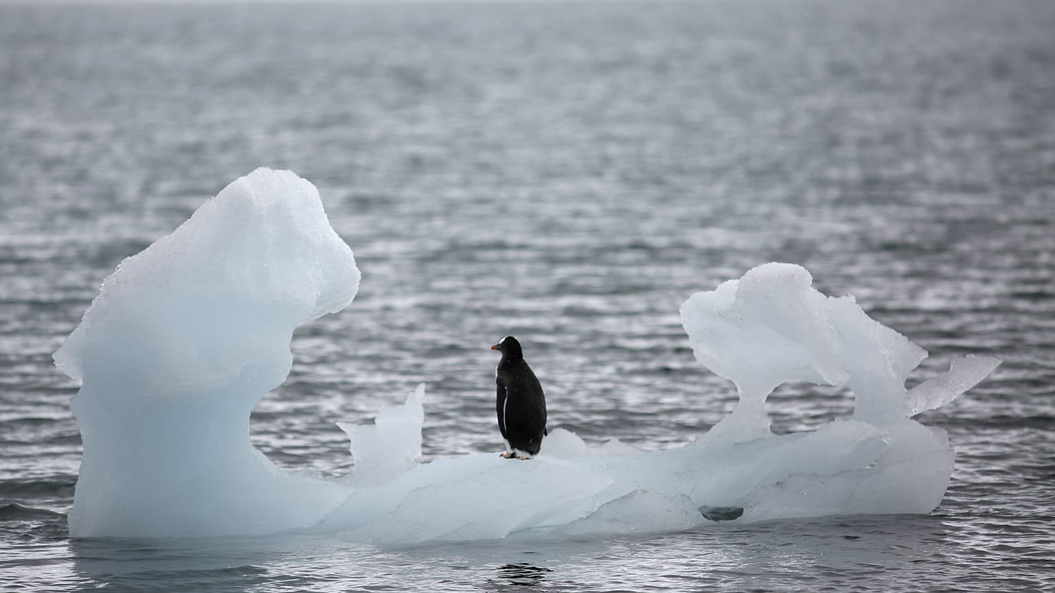 En Antarctique, la glace fond encore plus vite