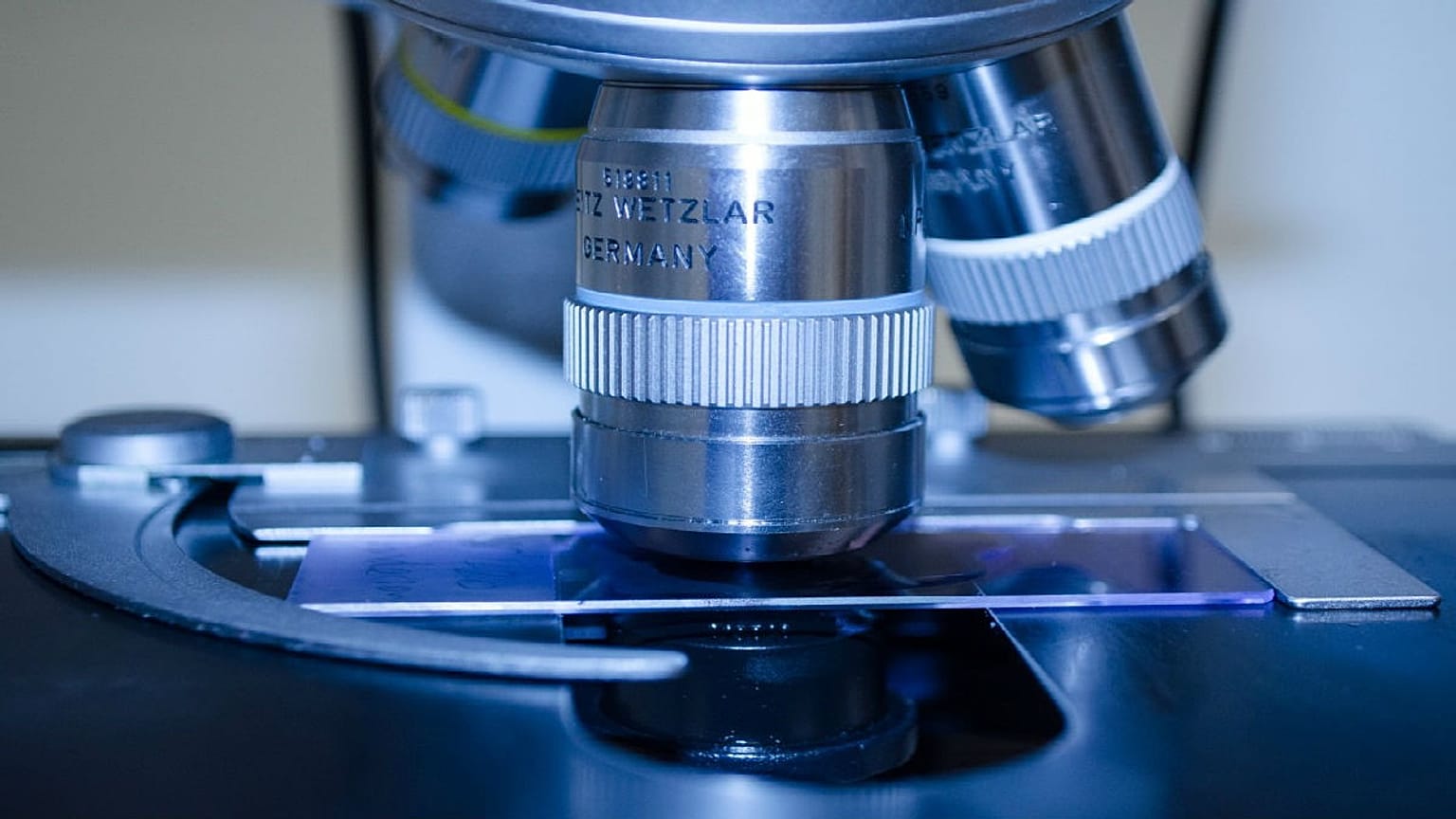 Laboratory Analysis