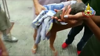Пушистые пленники пластиковой трубы 
