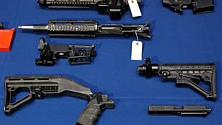 Scotland launches gun amnesty 