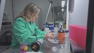 Nők a cégirányításban és innovációban