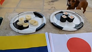 Fußball-WM, auf den Hund gekommen