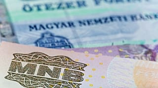 Mélyponton a forint árfolyama