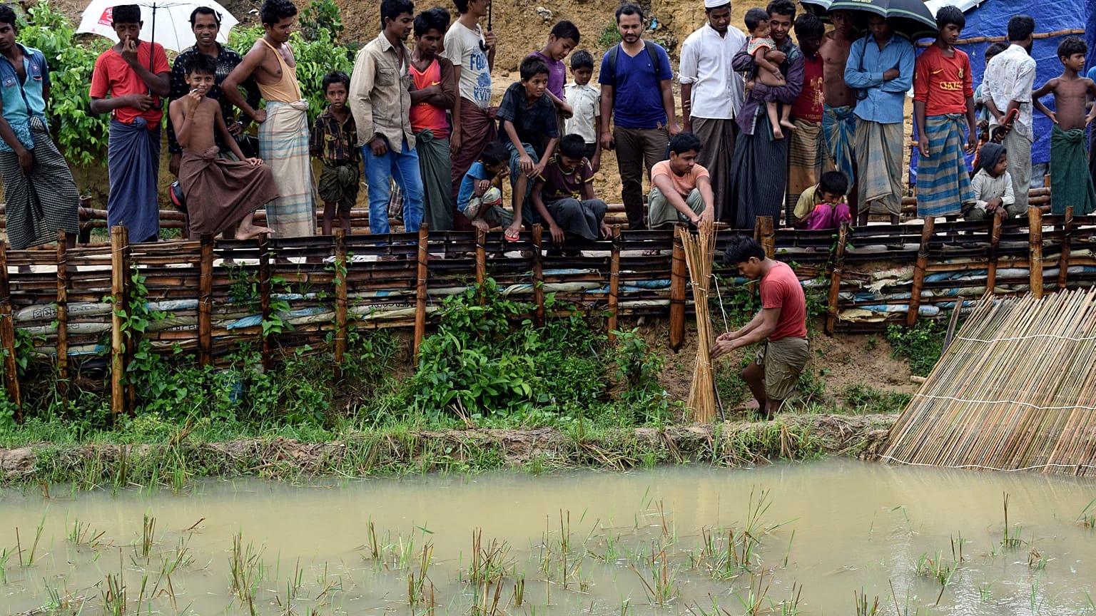 Rohingya Muslim refugees in Myanmar