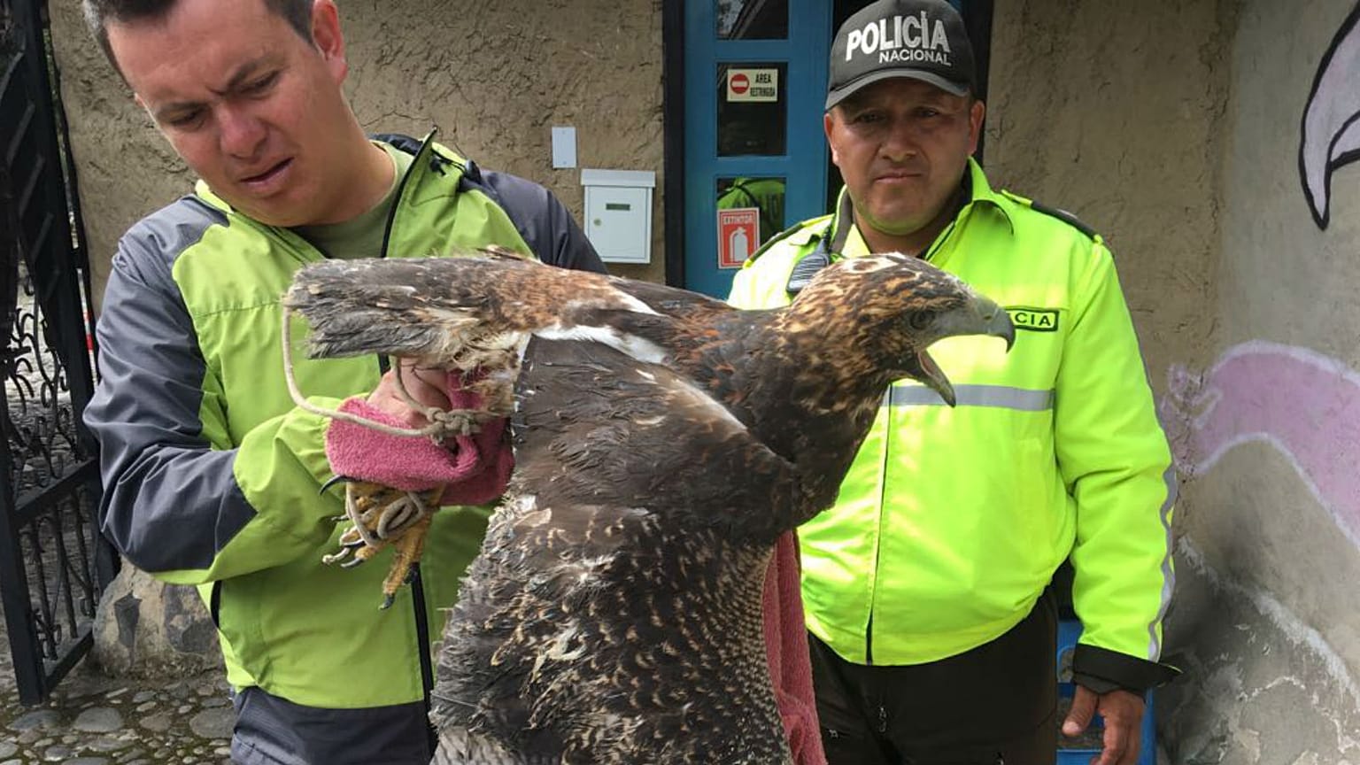 Vaste coup de filet contre le trafic d'animaux sauvages