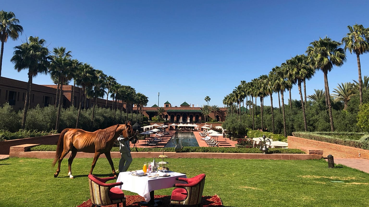 An oasis in Marrakesh 