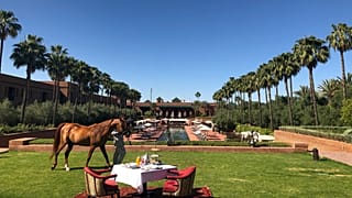 An oasis in Marrakesh