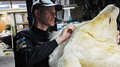 Jegesmedve bundákat és nagymacskákat is találtak az összehangolt akció során 