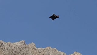 Со скалы с вингсьютом