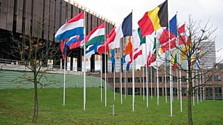 Europäischer Gerichtshof verurteilt Deutschland wegen Nitraten