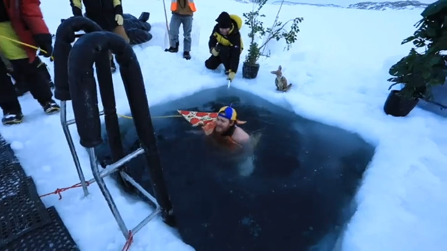 Un tuffo ghiacciato nelle acque dell'Antartide