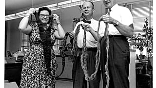 Lucille St. Hoyme, J. Lawrence Angel and Thomas Dale Stewart