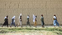 عکس تزپینی است