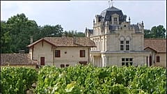 Zu viel Zucker: Weingut wegen Panscherei verurteilt