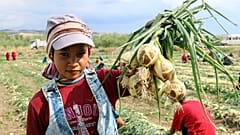 "Patates nasıl 5-6 liraya çıkar? Anlamış değilim"