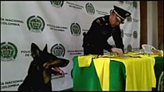 Droga e mondiali: sequestrate in Colombia magliette false dei mondiali intrise di cocaina
