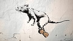 Banksy de volta a Paris