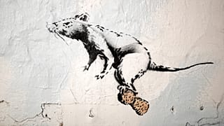 Banksy de volta a Paris