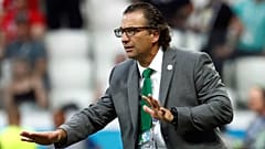 خوان أنطونيو بيتزي مدرب منتخب السعودية- المصدر : رويترز