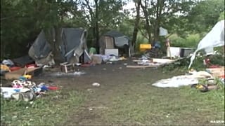 Цыганский погром во Львове 