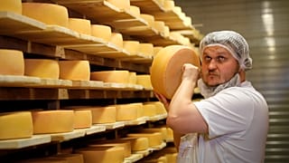 Les Bleus, tout un fromage