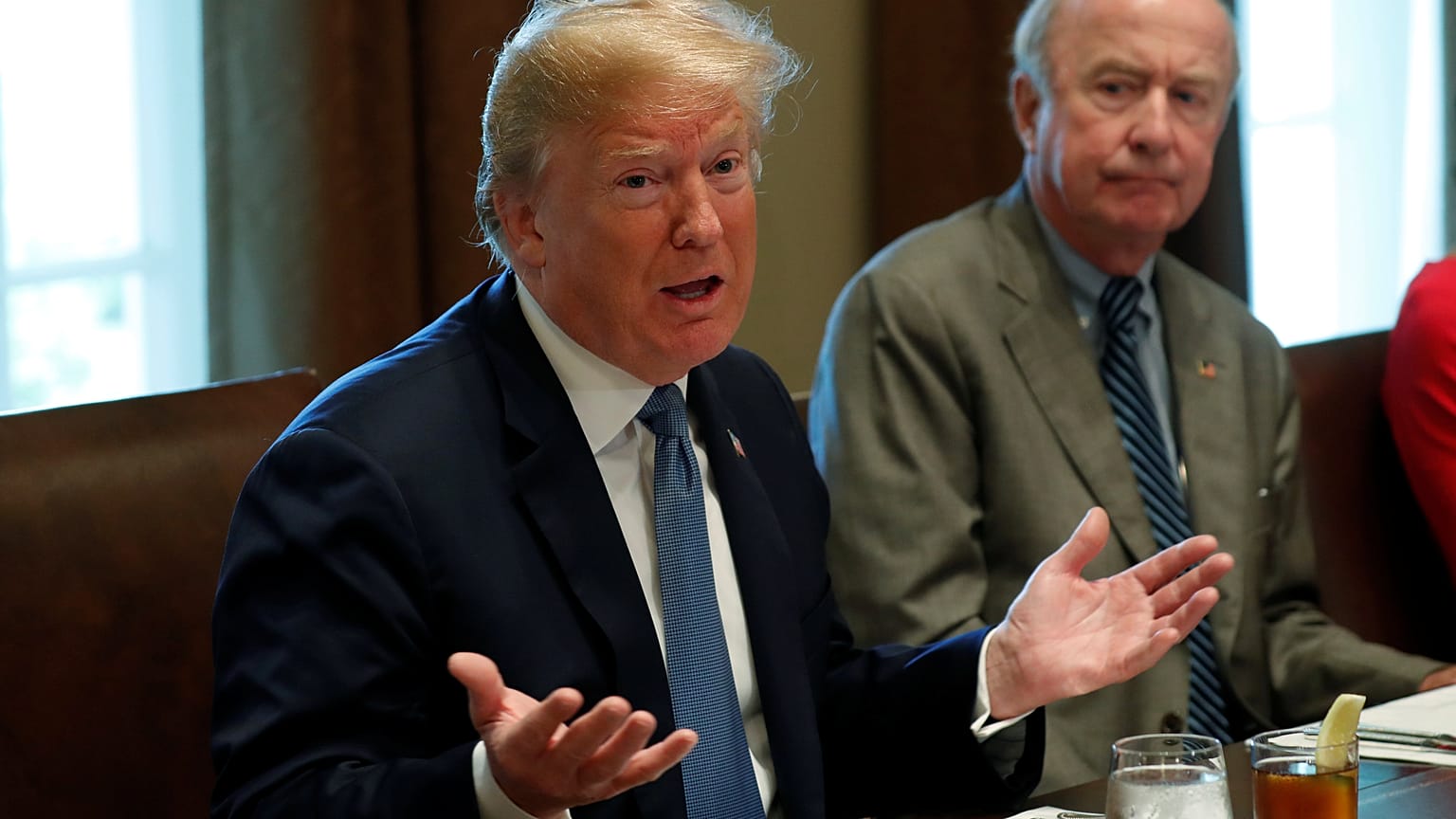 'Bizim ülkemiz bu değil' diyen 17 eyalet, Başkan Trump'a bayrak açtı