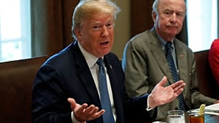 'Bizim ülkemiz bu değil' diyen 17 eyalet, Başkan Trump'a bayrak açtı