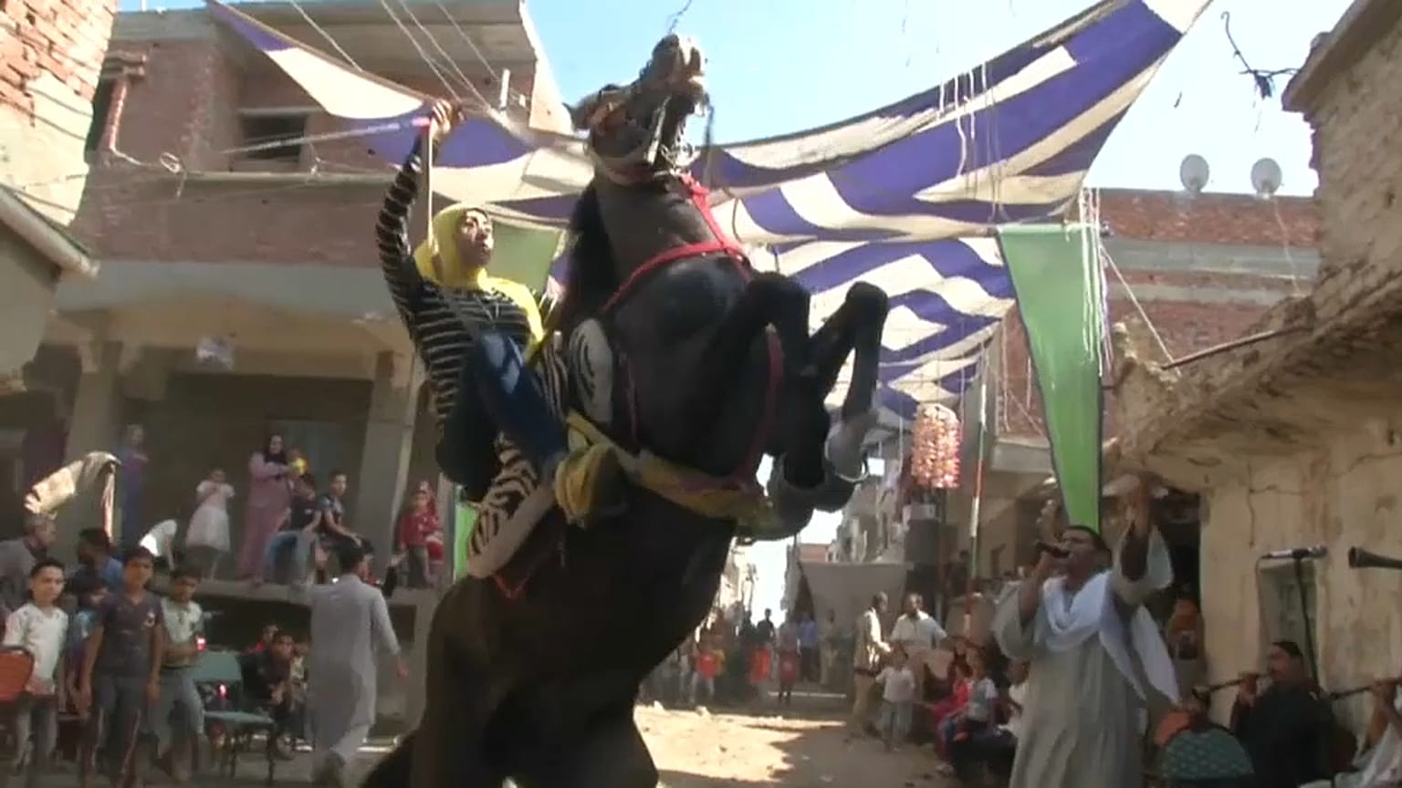 15-Jährige präsentiert Pferdeshow in Ägypten