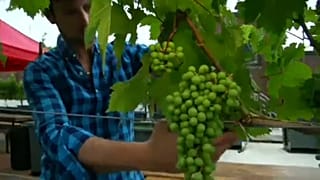 Κόκκινο κρασί από τις ταράτσες της Νέας Υόρκης