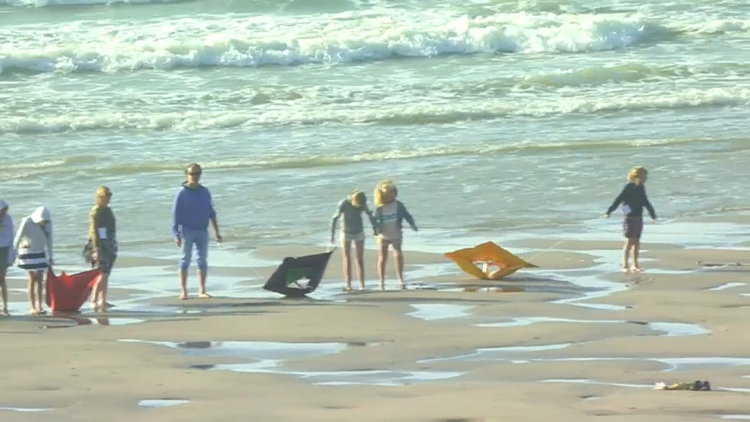 Participants form a human chain on the Belgian coast