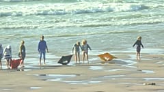 Participants form a human chain on the Belgian coast