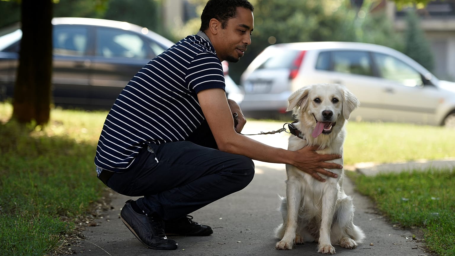 Çocuklarda diyabet krizinin 'kokusunu alan' köpekler görevde