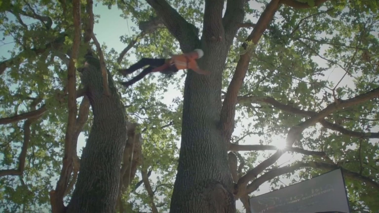 European Tree Climbing Championship takes place in Thoiry, France