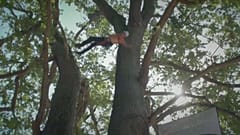 European Tree Climbing Championship takes place in Thoiry, France