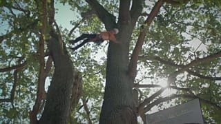 European Tree Climbing Championship takes place in Thoiry, France
