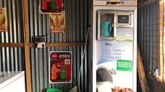 Soğutucu otomatlar geldi Kenya'da deve sütü pazarı patladı