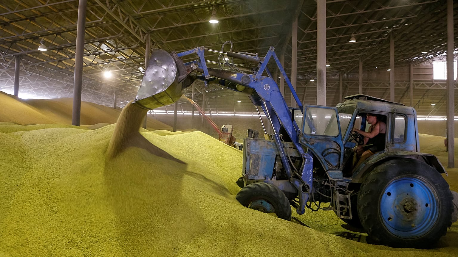 OECD-FAO: Gelecek 10 yılda tarım ürünleri fiyatları düşecek
