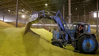 OECD-FAO: Gelecek 10 yılda tarım ürünleri fiyatları düşecek