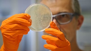 Immunrendszer-erősítő vírust azonosítottak amerikai kutatók