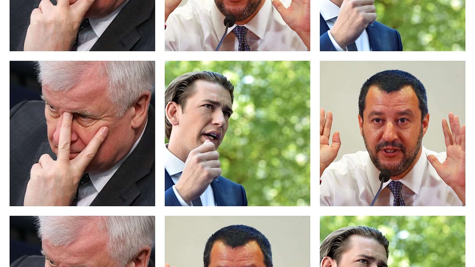 Seehofer trifft Salvini und Kurz