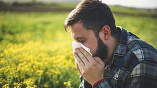 What’s in the air? New apps using Copernicus data to inform increasing population with respiratory diseases 