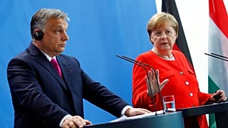 "A humanidade é a alma da Europa"