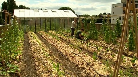 Supermercado planta horta no terraço